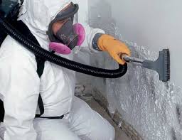 Best Air Quality Testing for Mold Spores  in Dearborn, MI